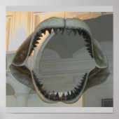 Prehistorische Jaws Poster (Voorkant)