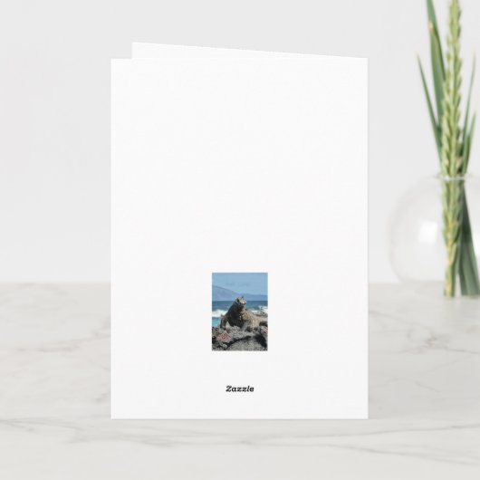 Prehistorische Kaart (Achterkant)