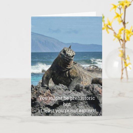 Prehistorische Kaart (Gele Bloem)