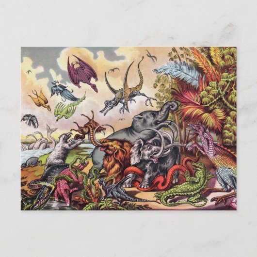 Prehistorische speeltuin Briefkaart (Voorkant)