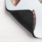 Prehistorische stenen gereedschappen, van Grotte d Muismat (Hoek)