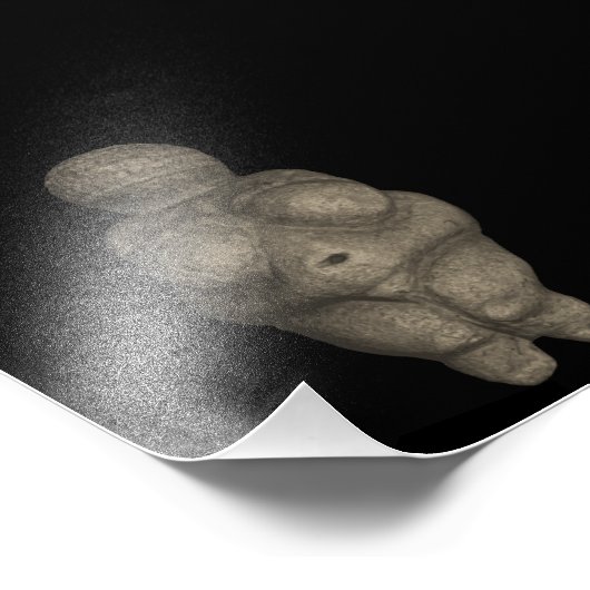 Prehistorische Venus Figurus Foto Afdruk (Hoek)