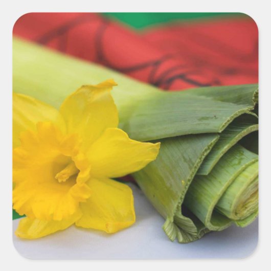 Prei-Welsh aangepast Vierkante Sticker (Voorkant)