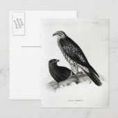 Preivogels Briefkaart (Voorkant / Achterkant)