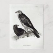 Preivogels Briefkaart (Voorkant)