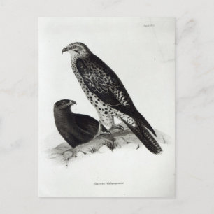 Preivogels Briefkaart