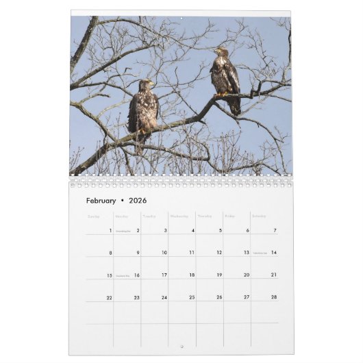 Preivogels Kalender (Feb 2026)