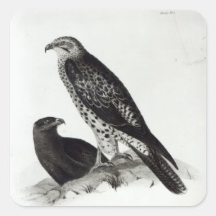 Preivogels Vierkante Sticker