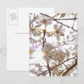 Prelude 2014 briefkaart (Voorkant / Achterkant)