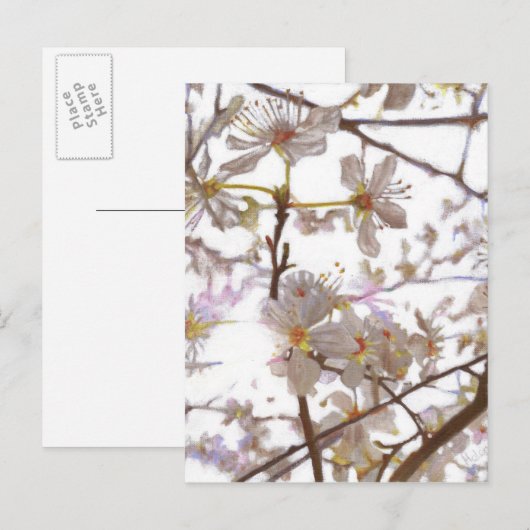 Prelude 2014 briefkaart (Voorkant / Achterkant)