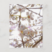 Prelude 2014 briefkaart (Voorkant)