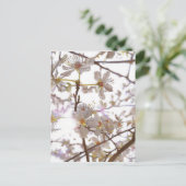 Prelude 2014 briefkaart (Staand voorkant)