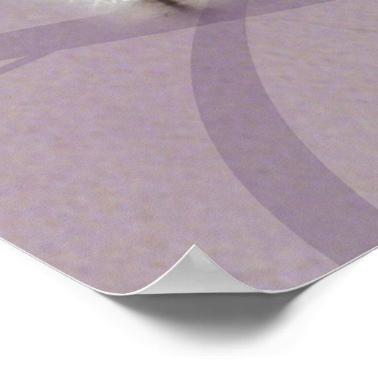 Prelude Horses van Kim McElroy Poster (Hoek)