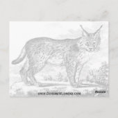 Prema Pusa Octopus Briefkaart (Achterkant)