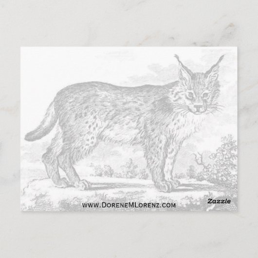 Prema Pusa Octopus Briefkaart (Achterkant)