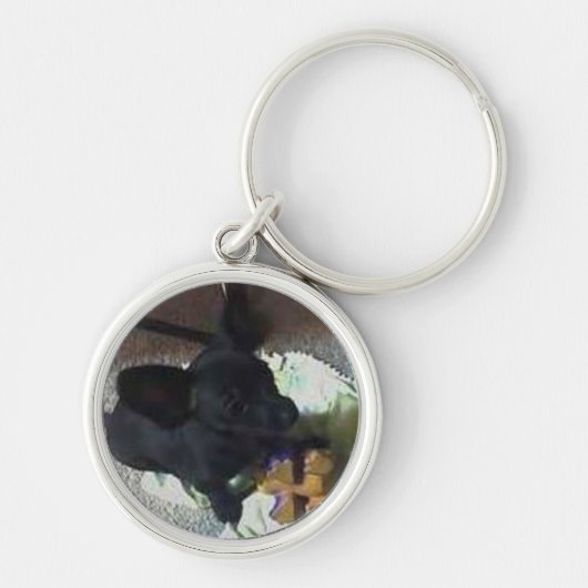 PREMIE VAN "BABY POKEMON"-SLEUTELHANGER SLEUTELHANGER (Voorkant)