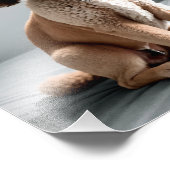 Premium Fine Art Dog Photography for Pet Lovers Foto Afdruk (Hoek)