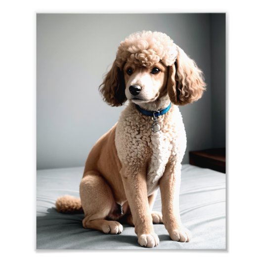 Premium Fine Art Dog Photography for Pet Lovers Foto Afdruk (Voorkant)