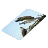 Premium Flexi Magnet uit de Osprey- of de hawk-ree Magneet (Linkerzijde)