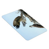 Premium Flexi Magnet uit de Osprey- of de hawk-ree Magneet (Rechterzijde)