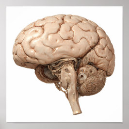 Premium Gilded Design: Luxury Clockwork Organ Poster