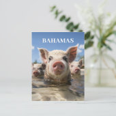 Premium Kwaliteit Bahamas Zwemvarkens Exuma Beach Briefkaart (Staand voorkant)