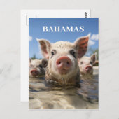 Premium Kwaliteit Bahamas Zwemvarkens Exuma Beach Briefkaart (Voorkant / Achterkant)