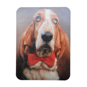 Premium magneet Basset Hound in rode boog Stropdas