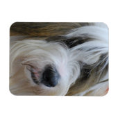 Premium magneet - Gepersonaliseerd (Horizontaal)