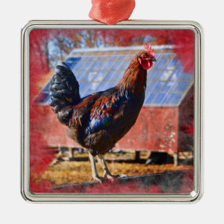 Premium Metal Ornament met Rooster in de tuin