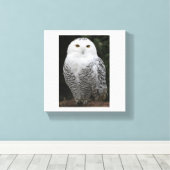 Premium - omgepakt canvas (glanzend) afdruk (Insitu (Houten vloer))