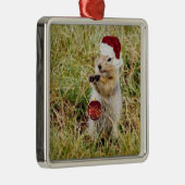 Premium Ornament met prairie dog (Rechts)