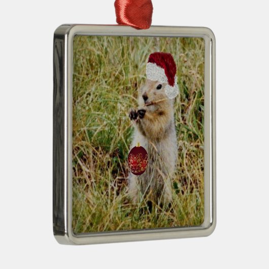 Premium Ornament met prairie dog (Rechts)