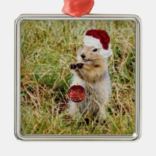 Premium Ornament met prairie dog