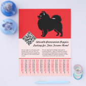 🐾 Premium Pomeranian Pups Beschikbaar Nu rood Flyer (Enkel)