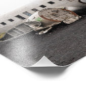 Premium Satijn Fotopapier Foto Vergroting Afdruk (Hoek)