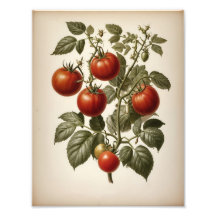 Premium Satin Fotopapier Foto Vergroting