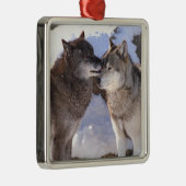 Premium Square Ornament "Alpha Kiss" (Rechts)