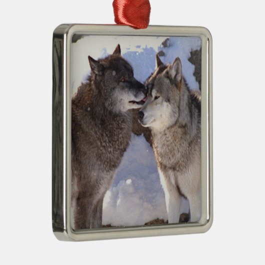 Premium Square Ornament "Alpha Kiss" (Rechts)