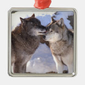 Premium Square Ornament "Alpha Kiss" (Voorkant)