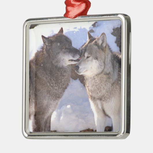 Premium Square Ornament "Alpha Kiss" (Links)