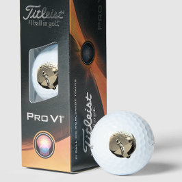 Premium Vintage Golfer Logo Luxury Tournament Golfballen