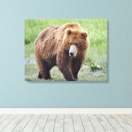 Premium Wrapped Canvas 24x18 met grizzly beer Afdruk (Insitu (Houten vloer))