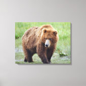 Premium Wrapped Canvas 24x18 met grizzly beer Afdruk (Voorkant)