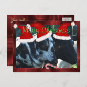 Prentbriefkaar van Kerstmis van de geit kan de Feestdagenkaart (Voorkant / Achterkant)