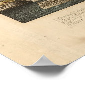  prentkaart van Alexandrië (1863) Poster (Hoek)