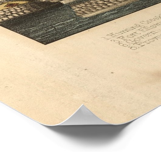  prentkaart van Alexandrië (1863) Poster (Hoek)