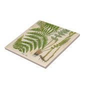  preparaten tegeltje (Zijkant)