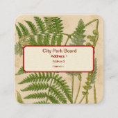  preparaten vierkante visitekaartje (Voorkant)