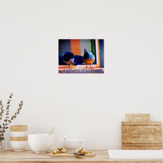 Prepische duiven poster (Keuken)